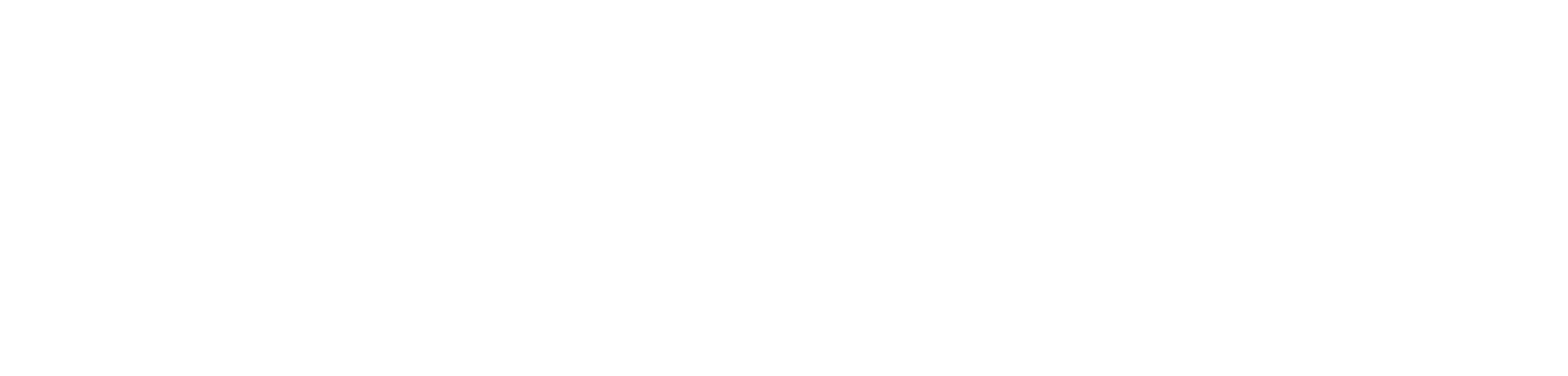 TECNOMAP